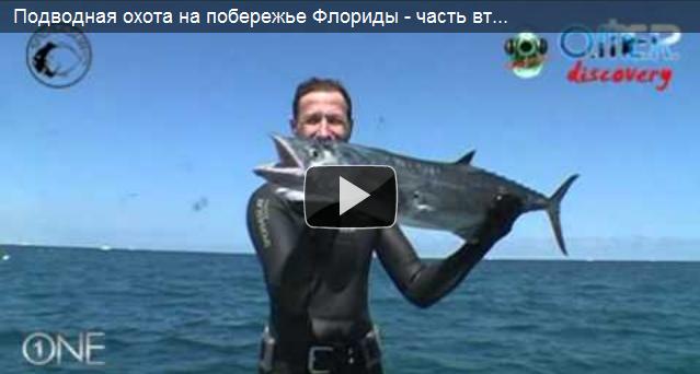 Подводная охота на побережье Флориды – второй видео-репортаж Михаила Кузнецова
