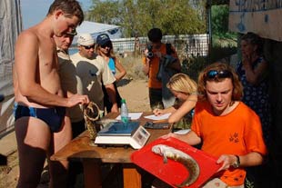 Подводная охота. Международные соревнования на Кубок Самара-Волга 2008.